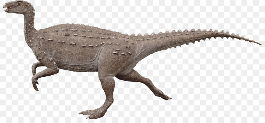 Dinossauro，Pré Histórico PNG