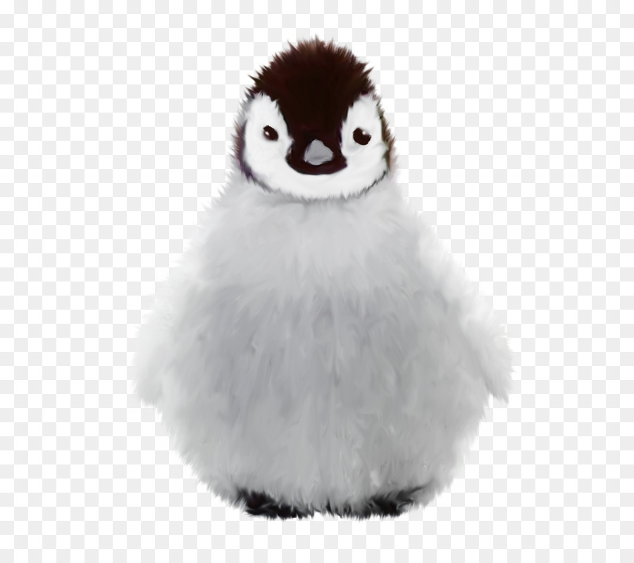 Penguin，Inverno PNG