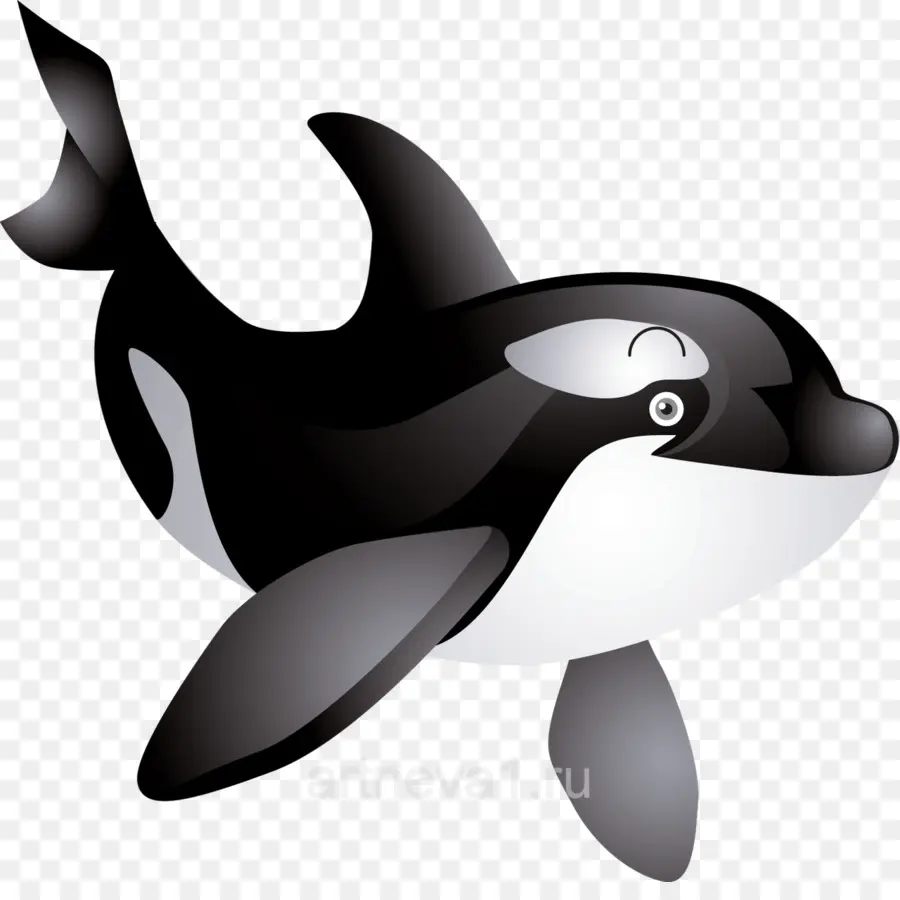 Baleia Dos Desenhos Animados，Orca PNG