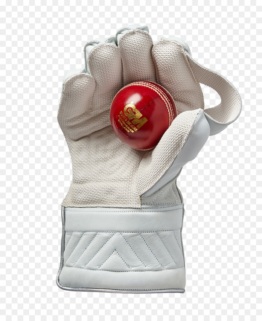 Wicketkeeper，Wicket PNG