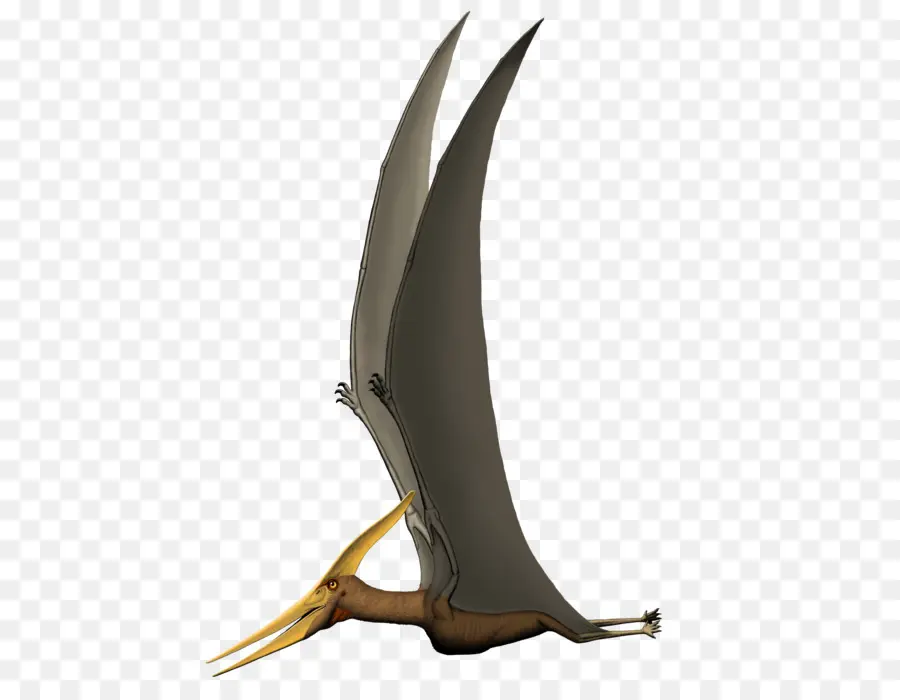 Pterodáctilos，Protoceratops PNG