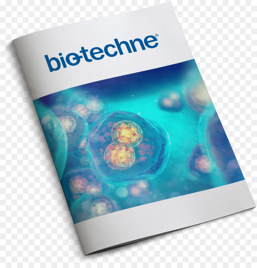 Empresa，Biotechne PNG