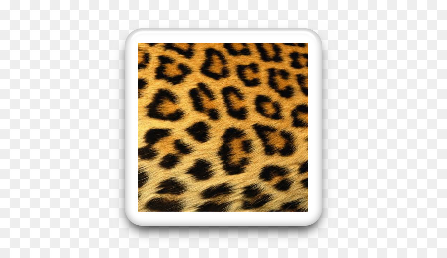 Cheetah，Jaguar PNG