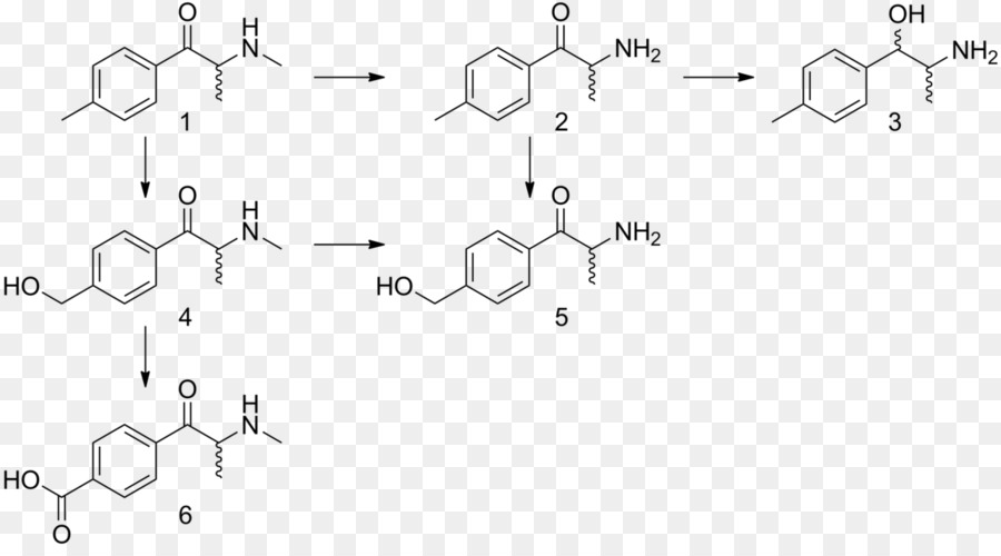A Fenilalanina，Fenetilamina PNG