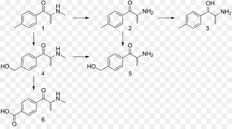 Reação Química，Molécula PNG