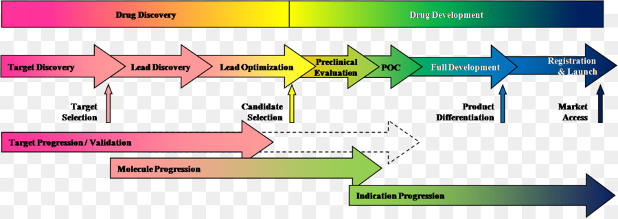 A Descoberta De Medicamentos，O Desenvolvimento De Drogas PNG