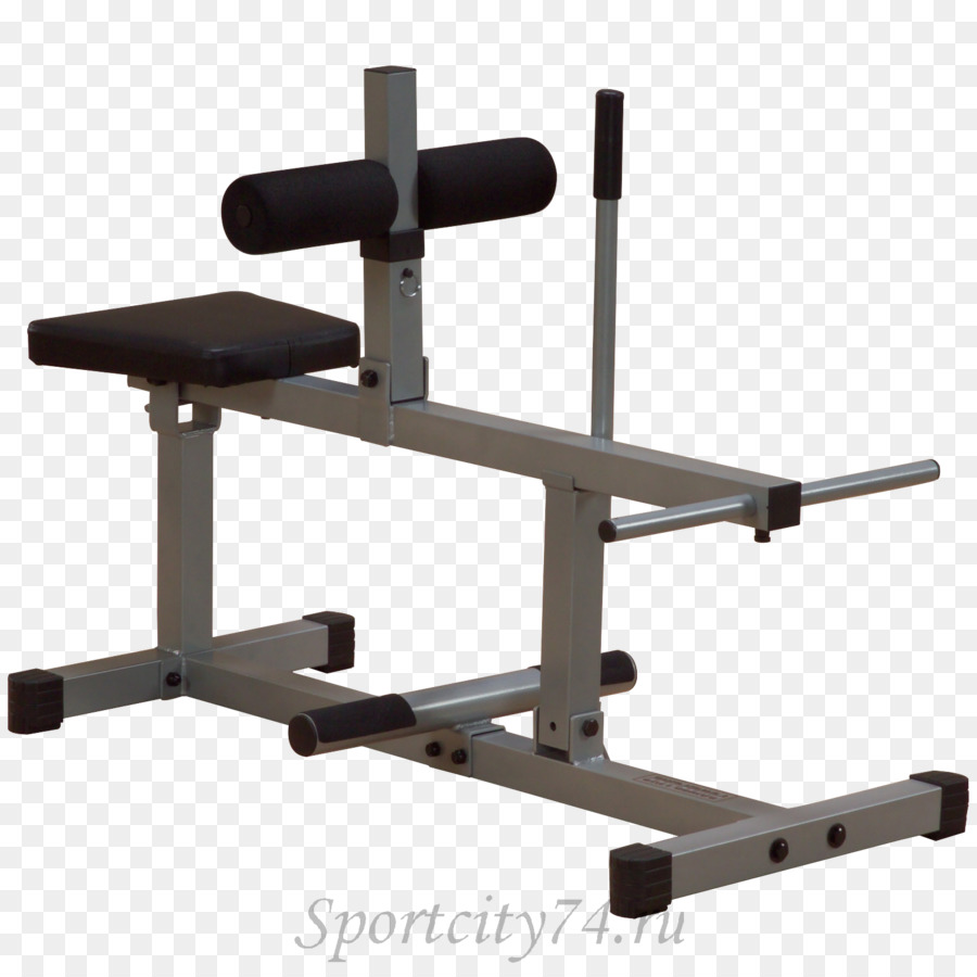 Calf Raises，Bezerro PNG