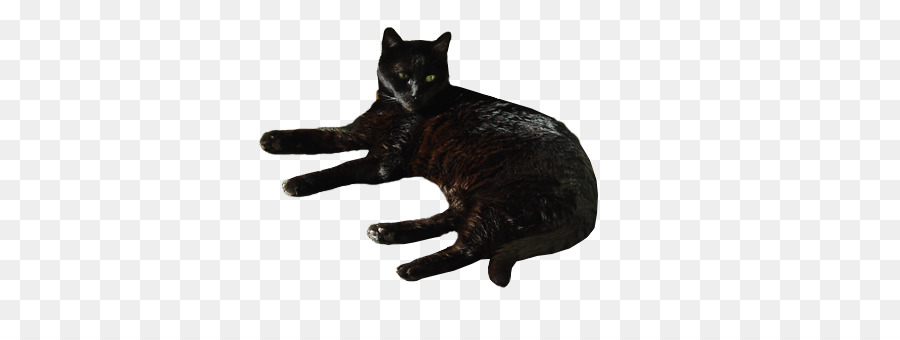 Estátua Do Gato Preto，Animal PNG