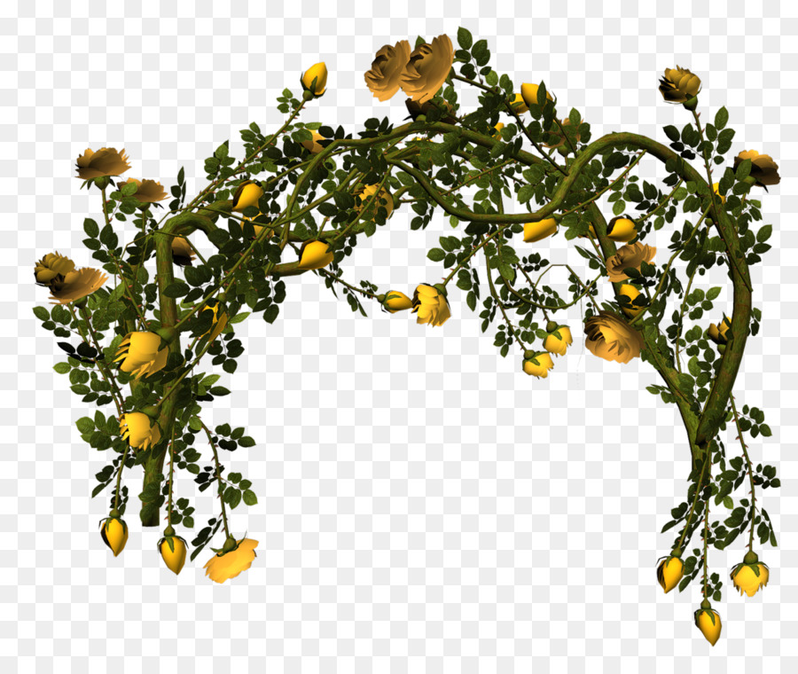 Arco De Flores，Flores Amarelas PNG