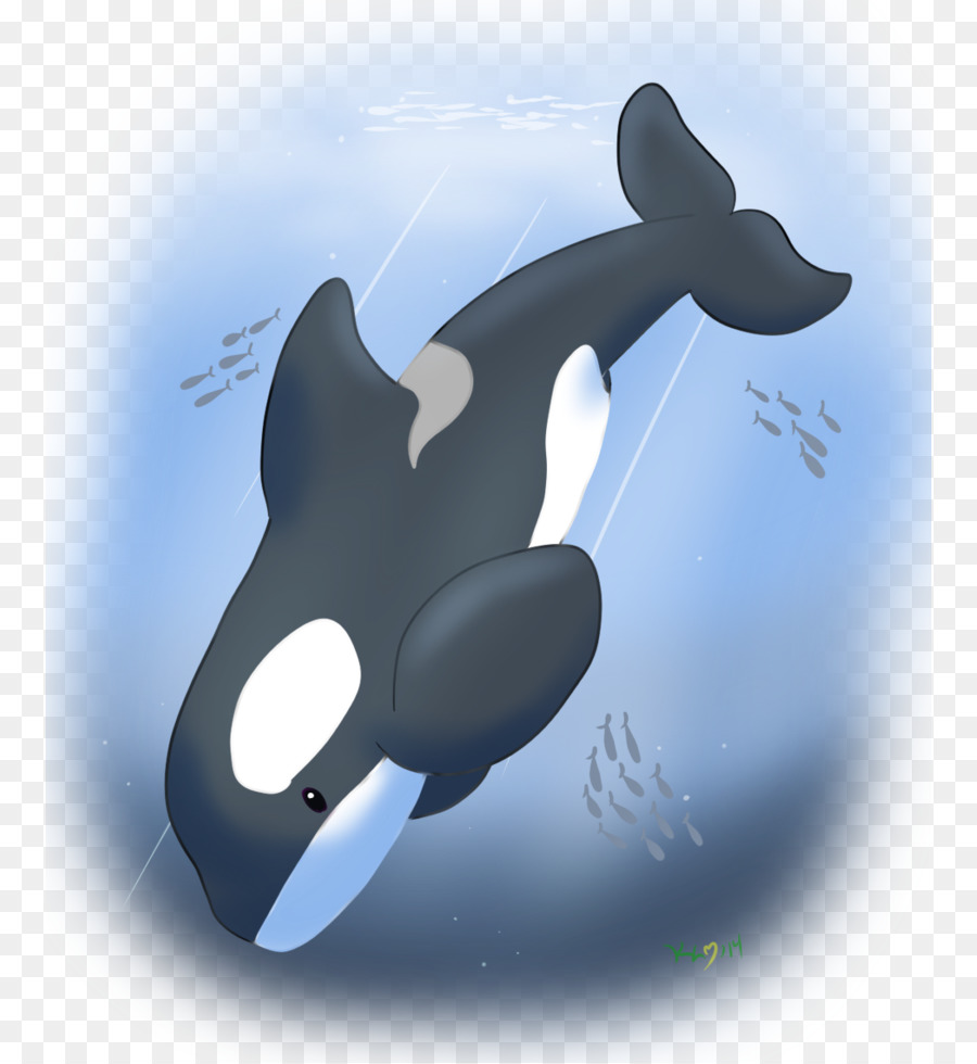 Dolphin，Baleia Assassina PNG