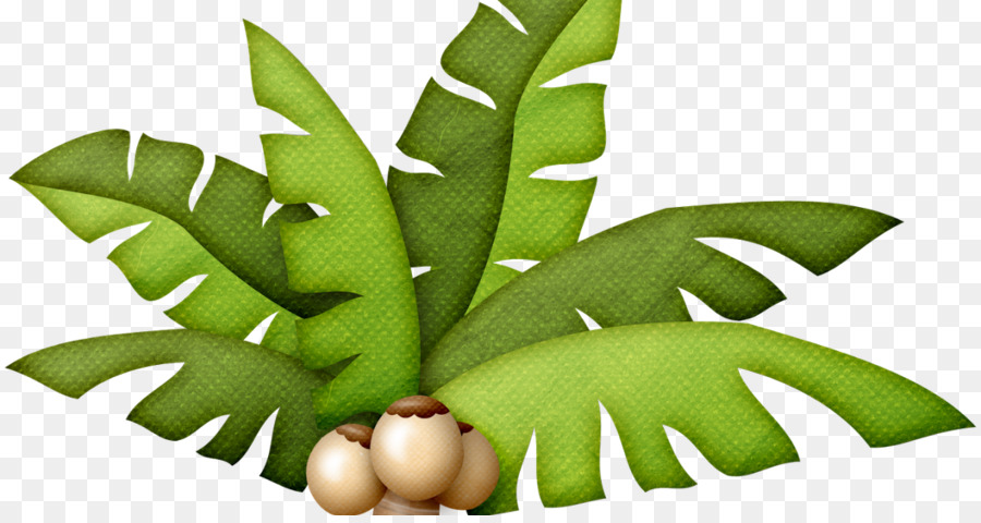 Desenho，Arecaceae PNG