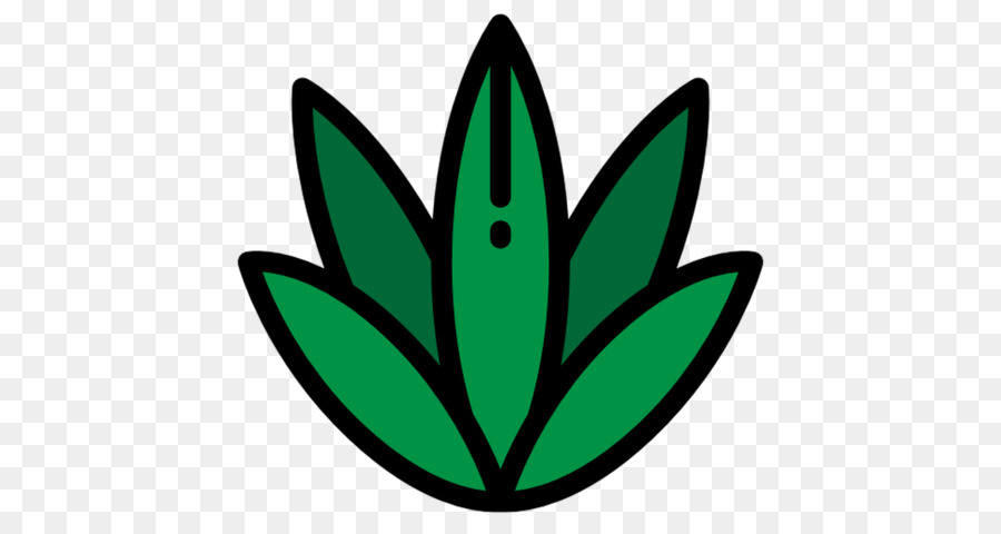 Planta Verde，Folha PNG