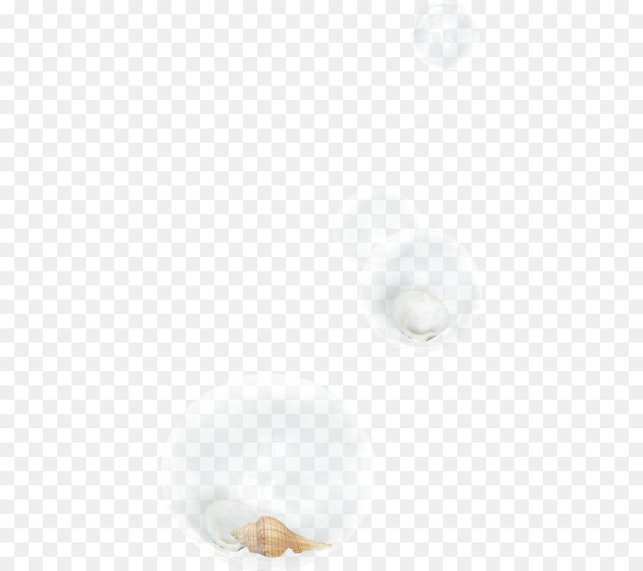 Concha Em Bolha，Transparente PNG