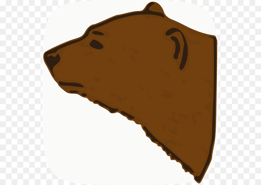 Urso Pardo，Urso PNG