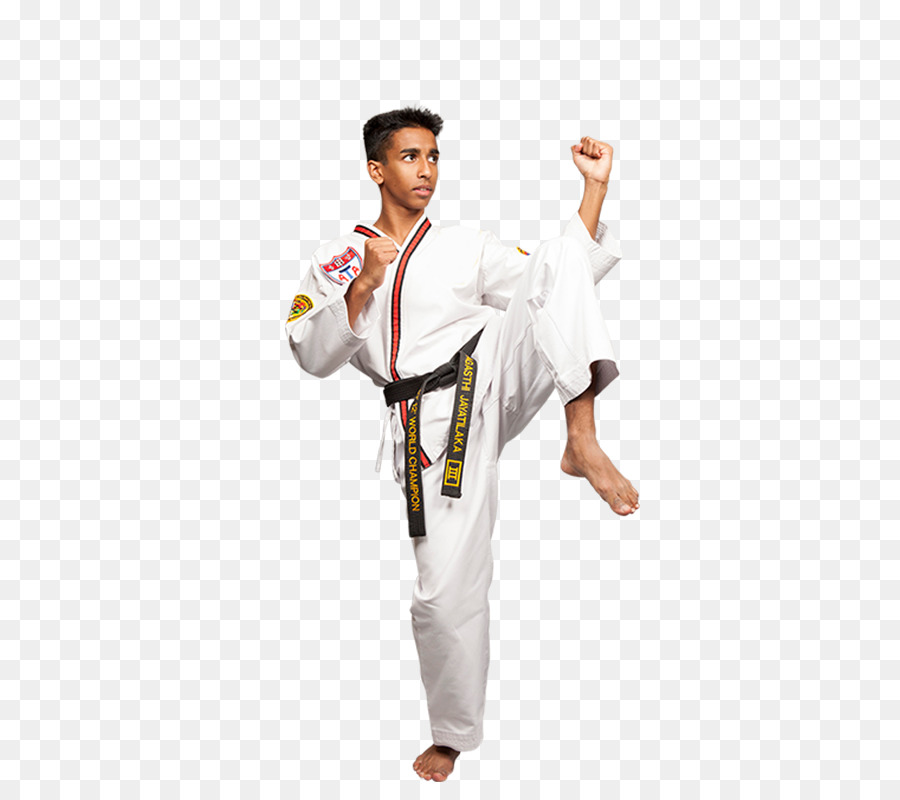 Ata De Artes Marciais，Taekwondo PNG