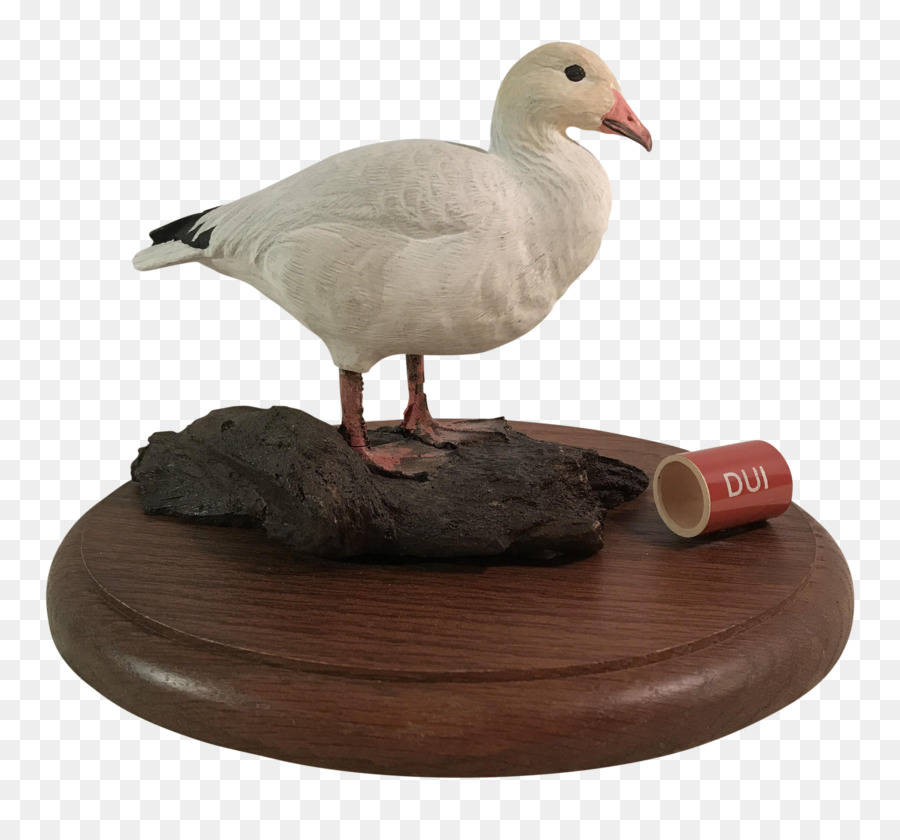 Pato，Ganso PNG