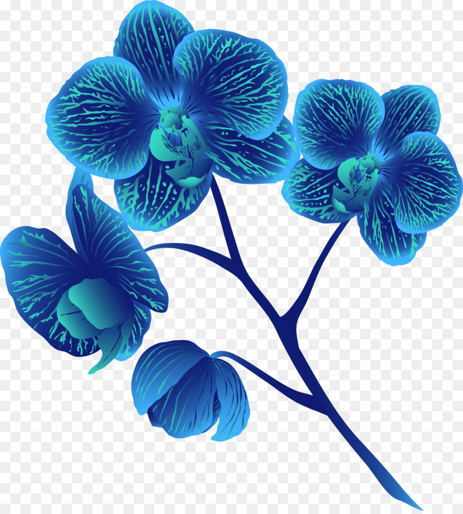 Orquídea Azul，Plantar PNG