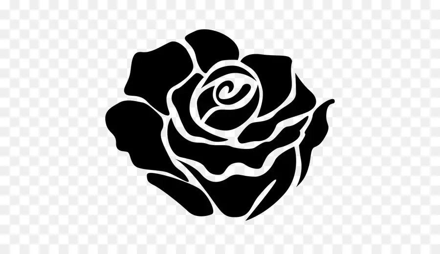 Rosa，Florescer PNG