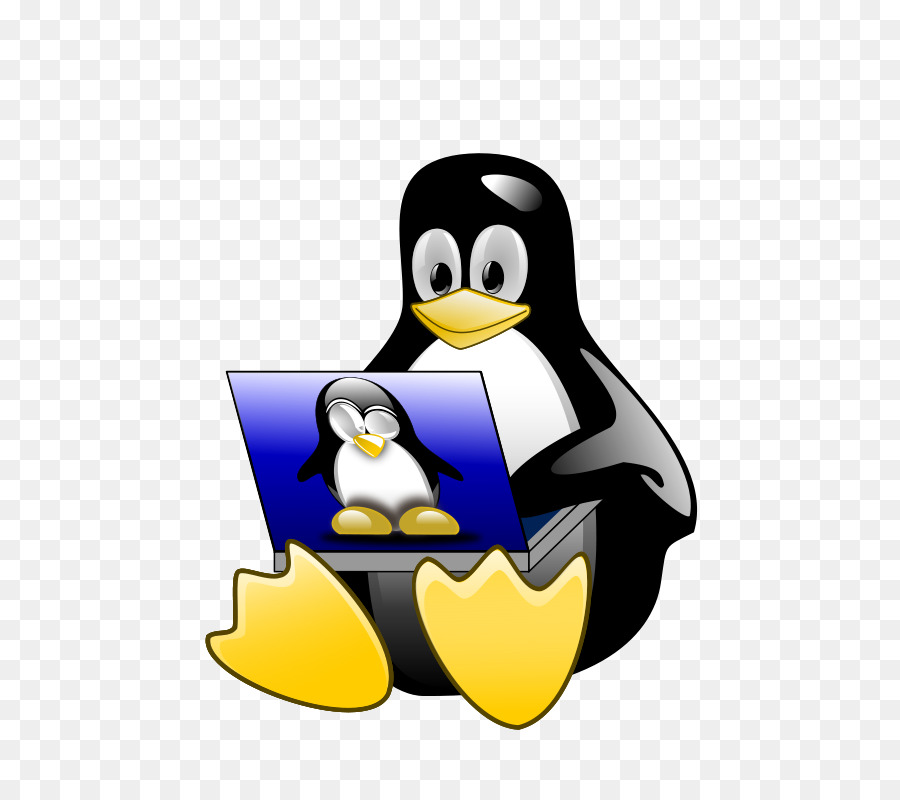 Pinguim Com Laptop，Linux PNG