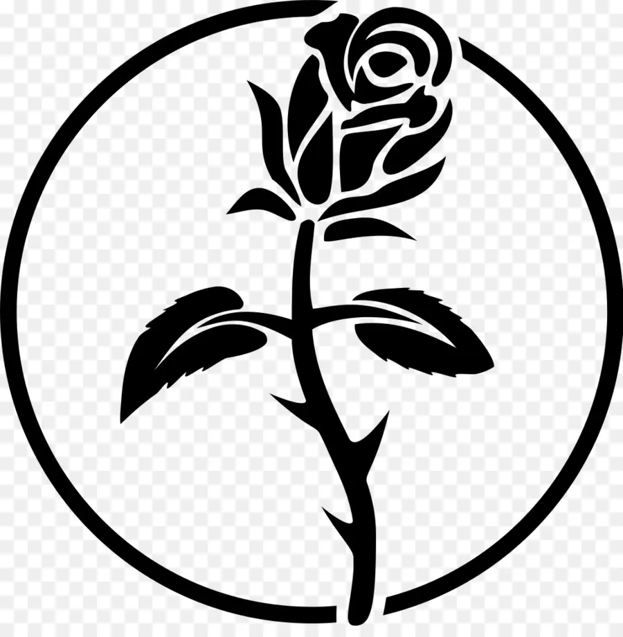 O Anarquismo，Black Rose PNG