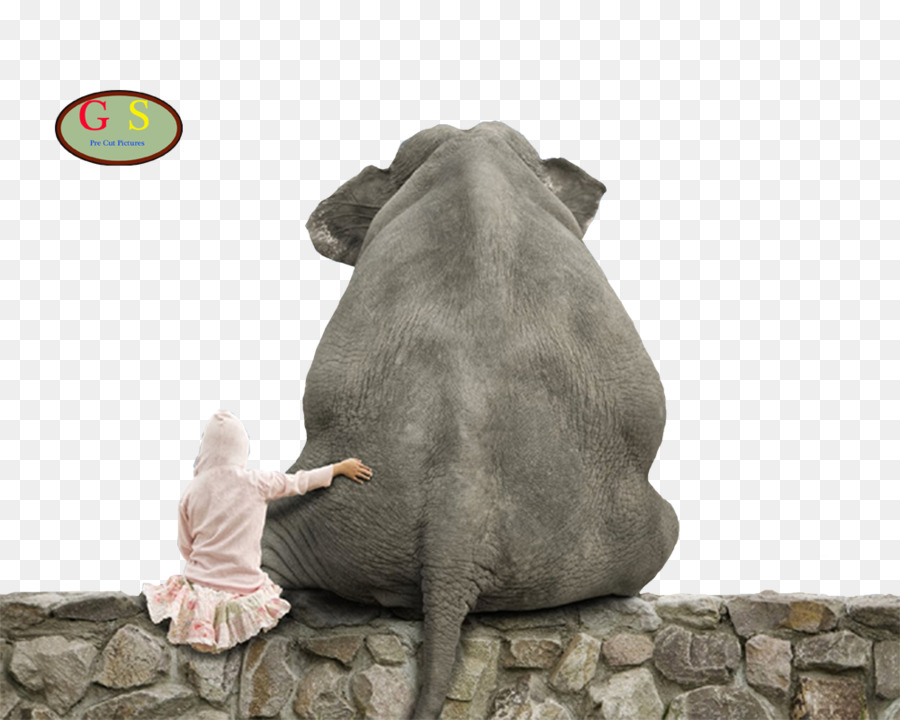 Elefante E Criança，Parede PNG