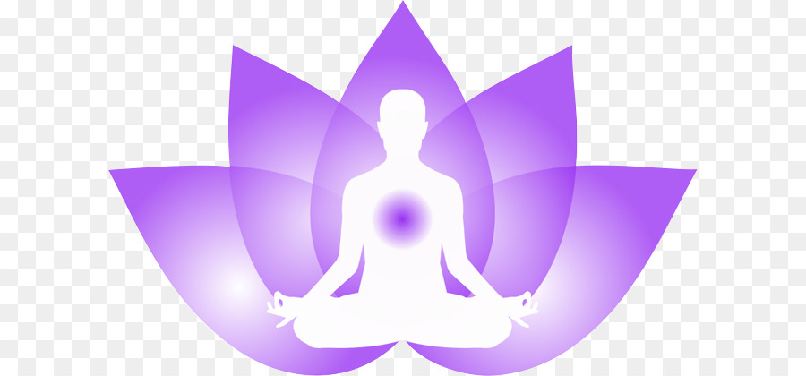 Meditação，Lótus PNG