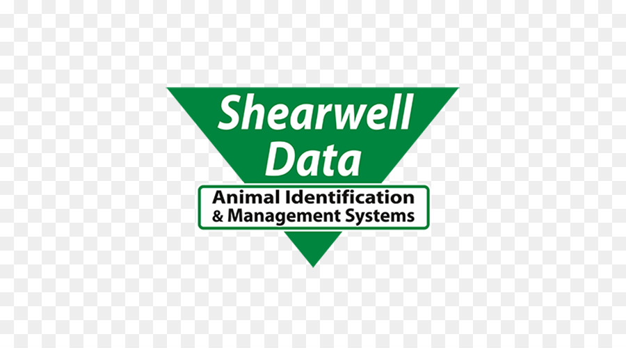 Shearwell Dados Ltd，Ovelhas Texel PNG