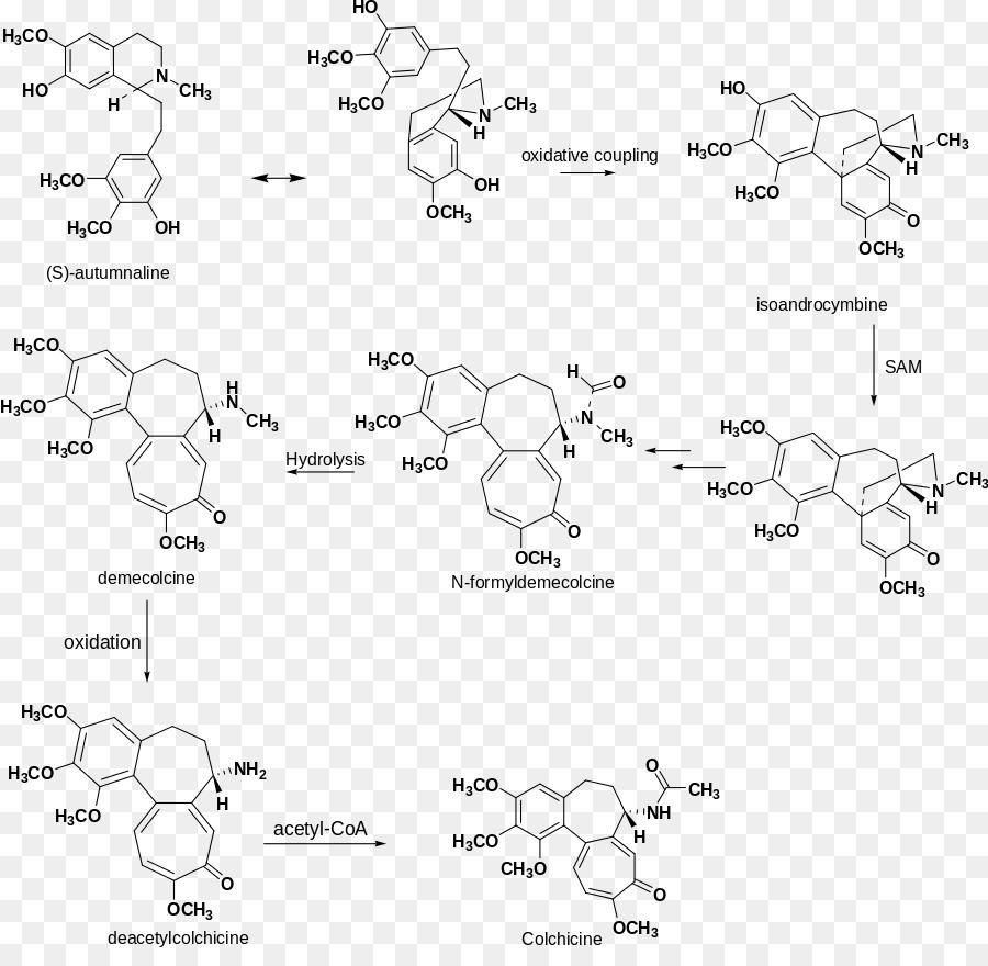 Diagrama Químico，Química PNG