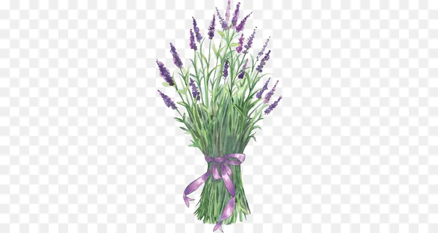 Lavanda，Flor PNG