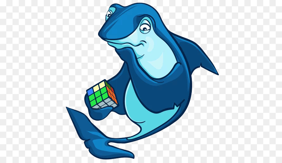 Dolphin，Bico PNG