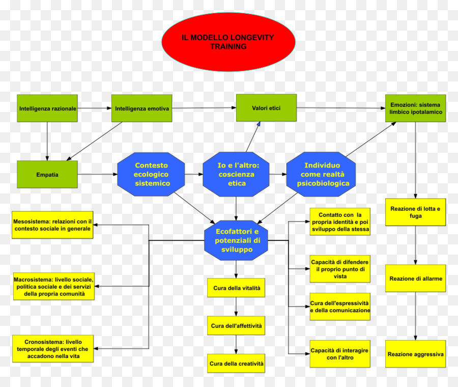 Fluxograma，Processo PNG