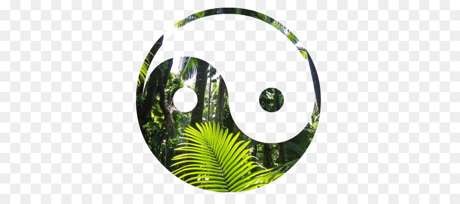 Yin Yang，Equilíbrio PNG