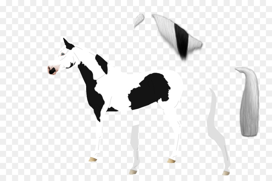 Cavalo，Branco PNG