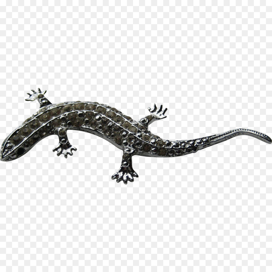 Gila Monster，Salamandra PNG