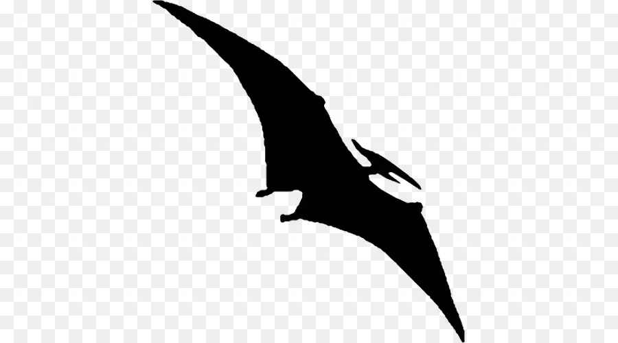 Pterodáctilos，Pterossauros PNG