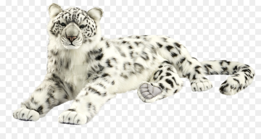 Leopardo Da Neve，Gato Grande PNG