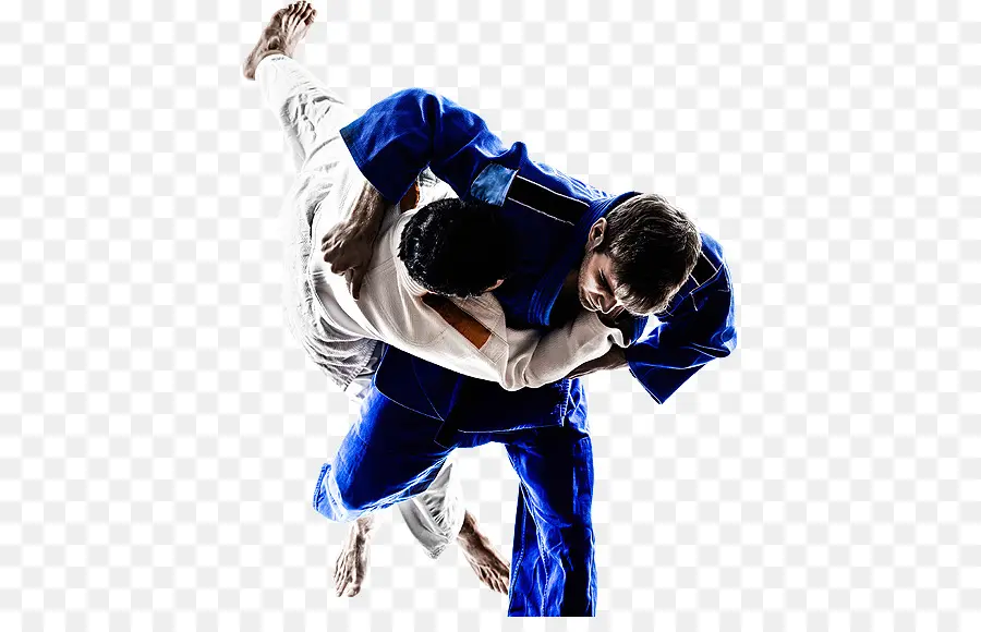 Brasileiro De Jiujitsu，Artes Marciais PNG