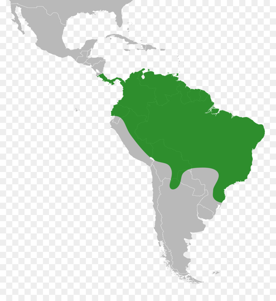 Mapa Da América Do Sul，Continente PNG