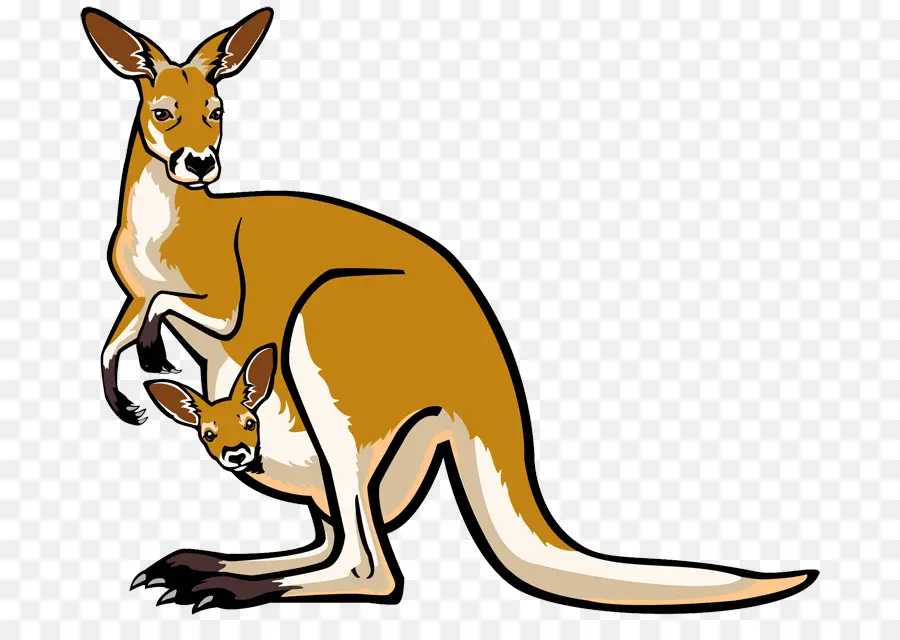 Austrália，Canguru PNG