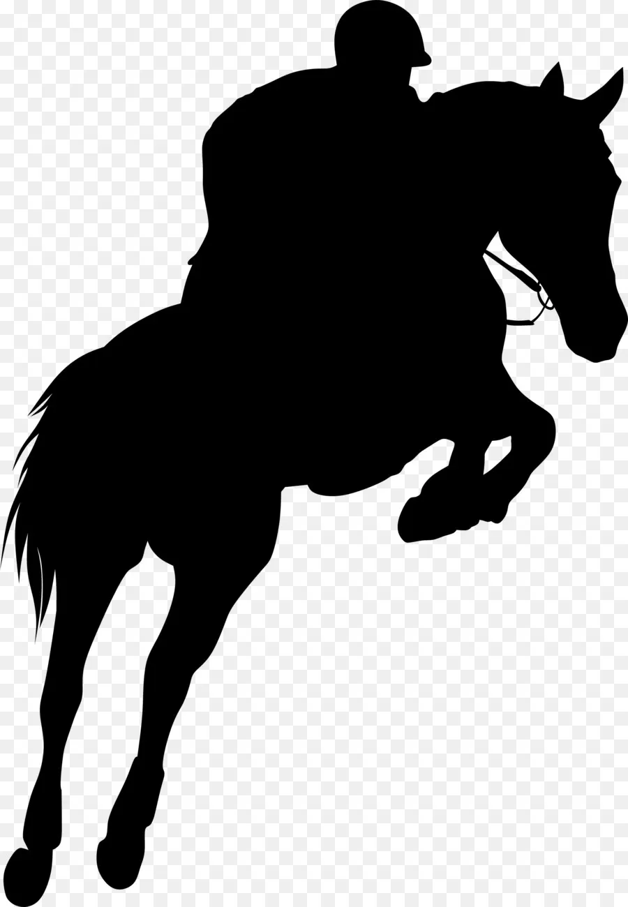 Hanoverian Cavalo，Equestre PNG