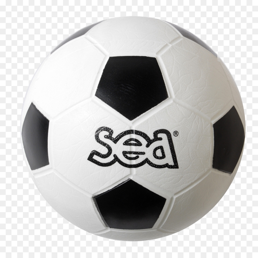 Bola，Voleibol PNG