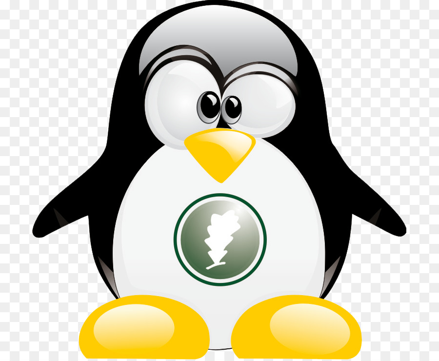 Pinguim，Pássaro PNG