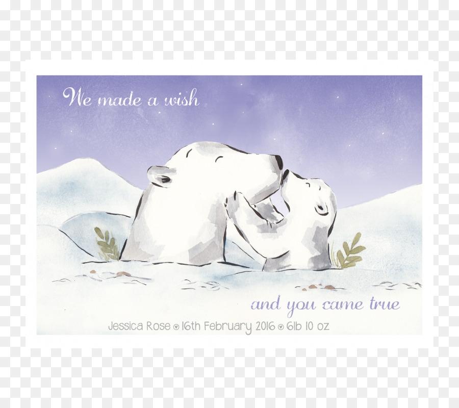 Urso Polar，Illustrator PNG