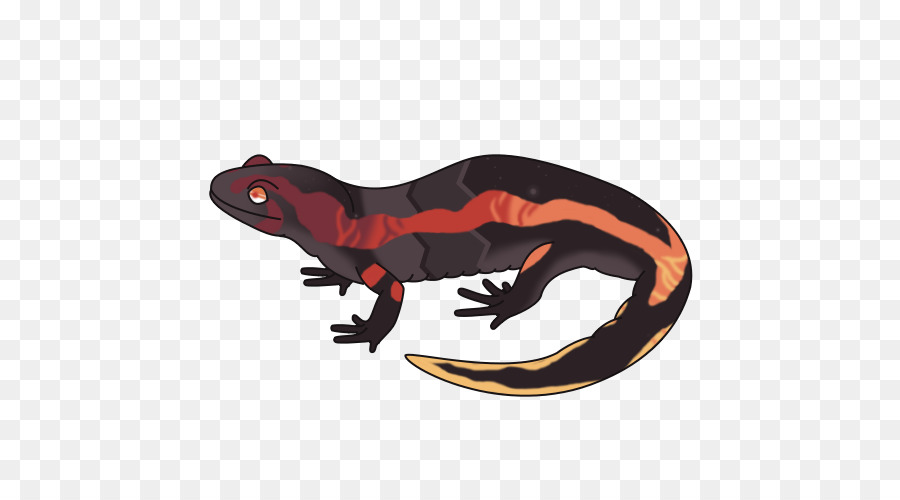 Salamandra，Répteis PNG