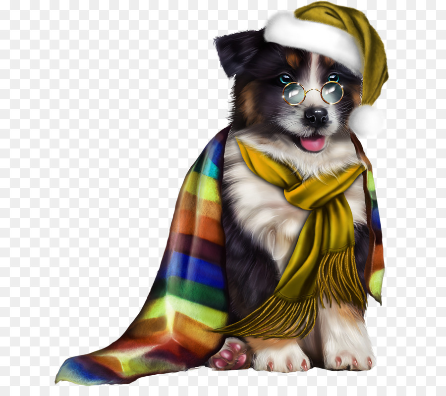 Filhote De Cachorro Fofo，Cachorro PNG