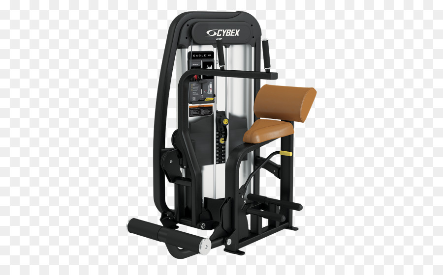 Cybex International，Crunch PNG