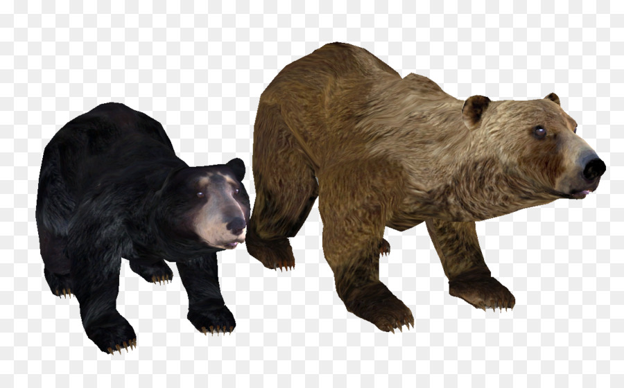 Grizzly Bear，Urso PNG