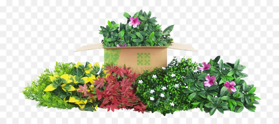 Flowerpot，Design Floral PNG