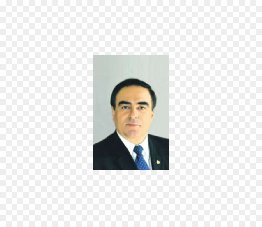 Executivo，Executivo De Negócios PNG