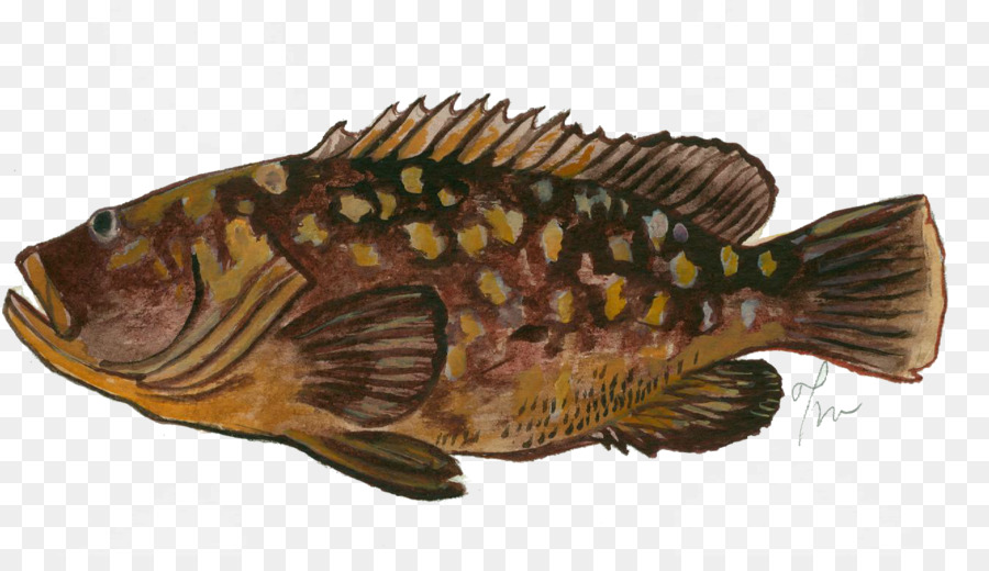 Peixe，Listras PNG